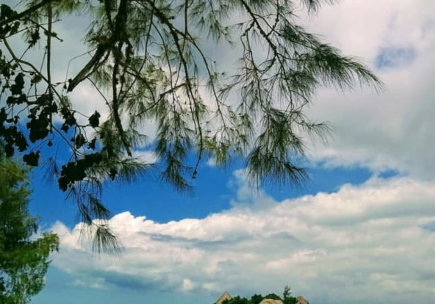 Hidden Gem in Pongwe - 2 Charming Villas with Land - Photo 4